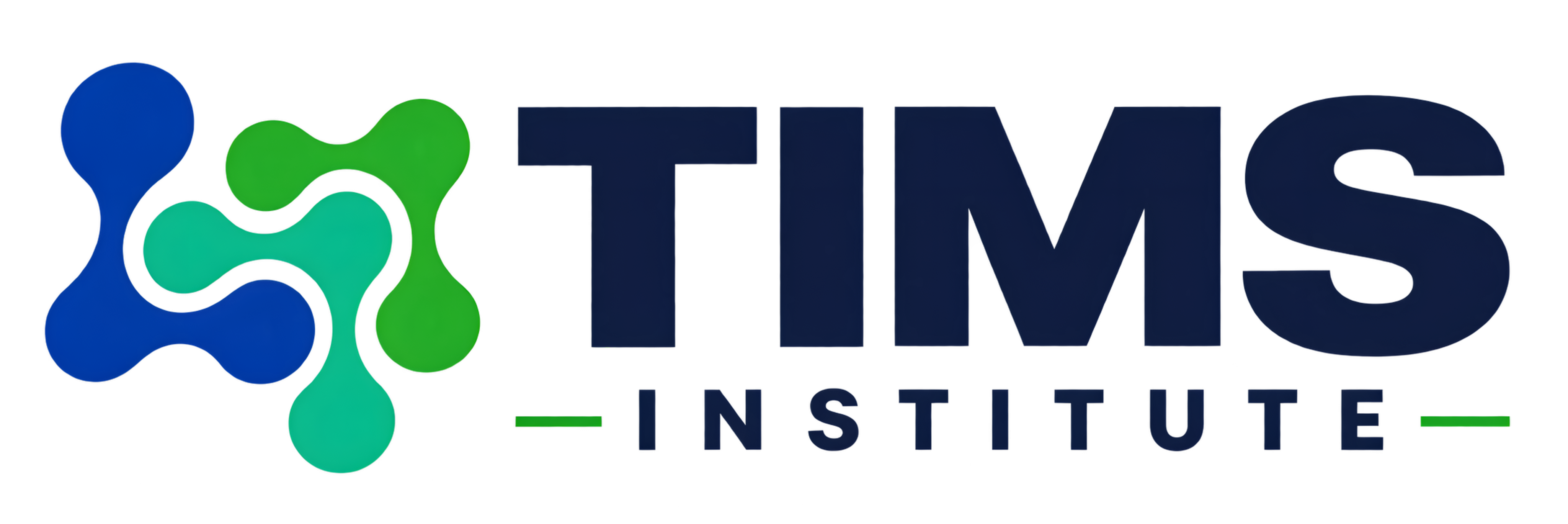 TIMS Institute — Coding Kids